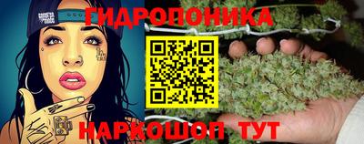 индика Кумертау