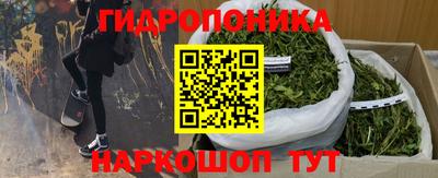 индика Кумертау